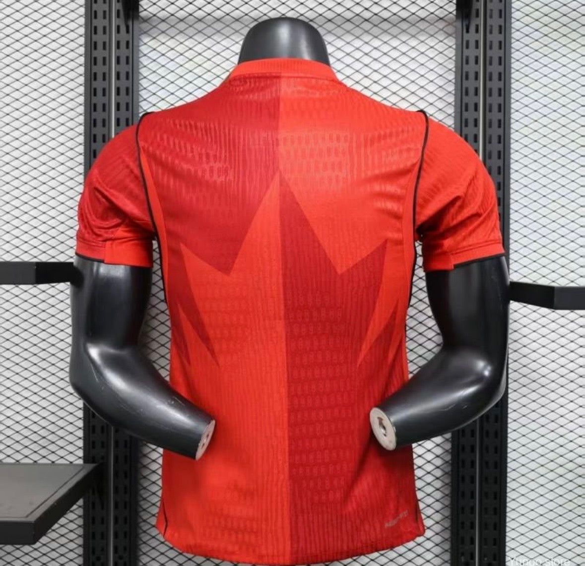 Maillot Canada Domicile 2026