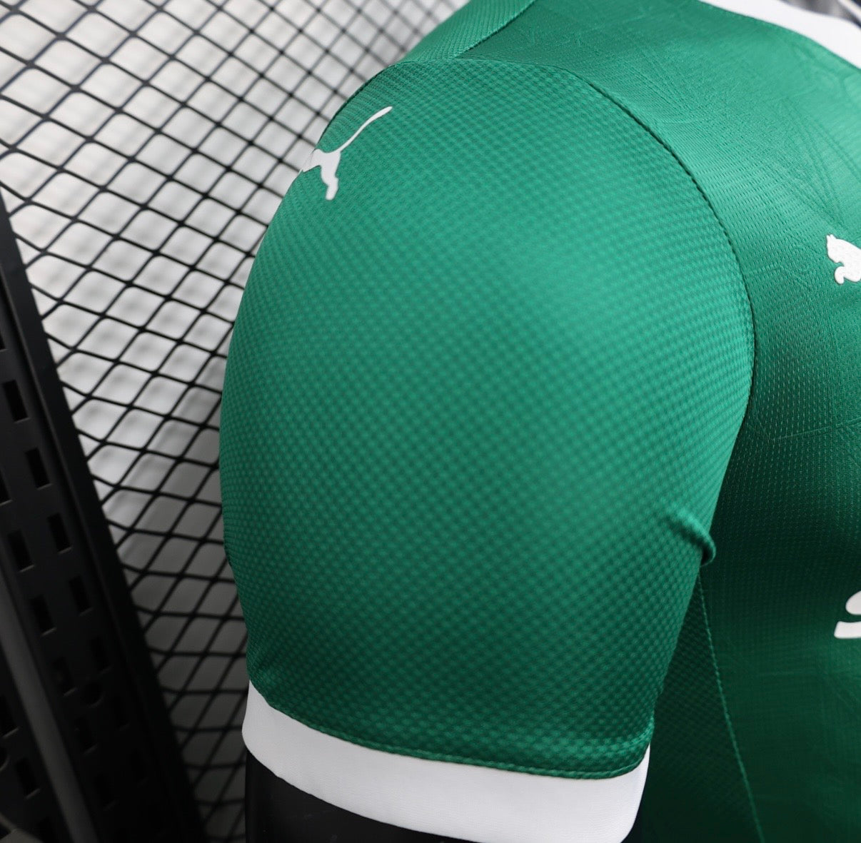Maillot Palmeiras Domicile 2025/2026