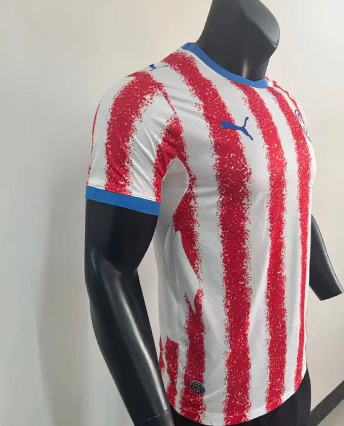 Maillot Paraguay Domicile 2026