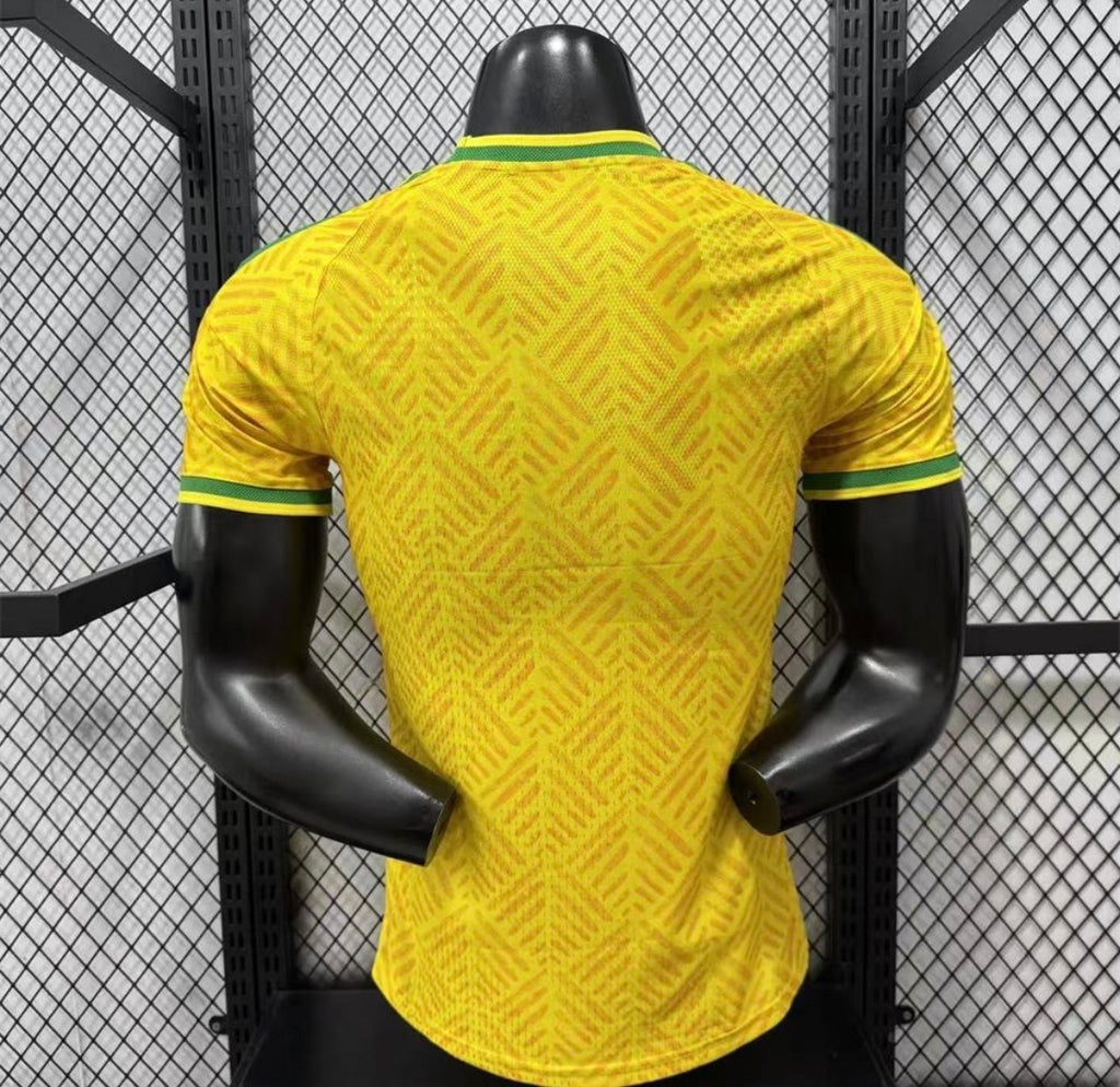 Maillot Afrique du Sud Domicile 2026